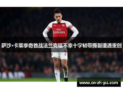 萨沙·卡莱季奇首战法兰克福不幸十字韧带撕裂遭遇重创