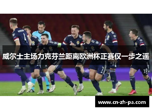 威尔士主场力克芬兰距离欧洲杯正赛仅一步之遥 威尔士主场力克芬兰距离欧洲杯正赛仅一步之遥