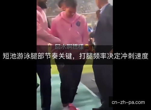 短池游泳腿部节奏关键，打腿频率决定冲刺速度